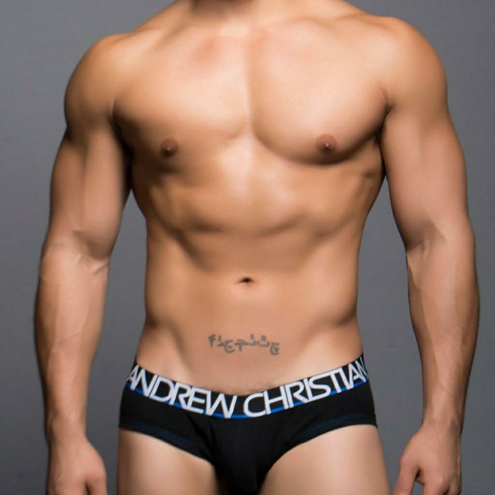 Briefs